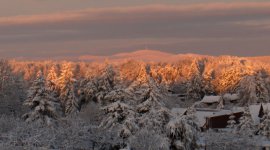 Allrode im Winter