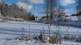 Allrode im Winter