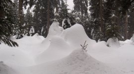 Brockenwanderung im Winter