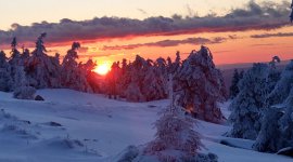 Brockenwanderung im Winter