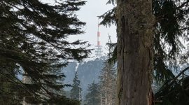 Brockenwanderung im Winter