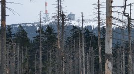 Brockenwanderung im Winter