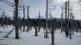 Brockenwanderung im Winter