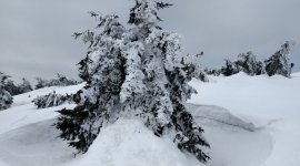 Brockenwanderung im Winter