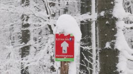 Harzimpressionen